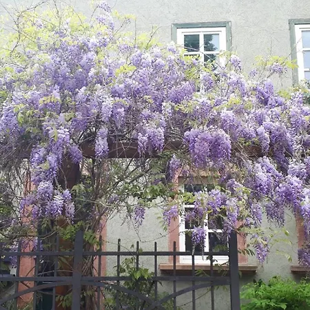 Annette Faust Apartment Miltenberg