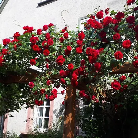 Annette Faust Miltenberg