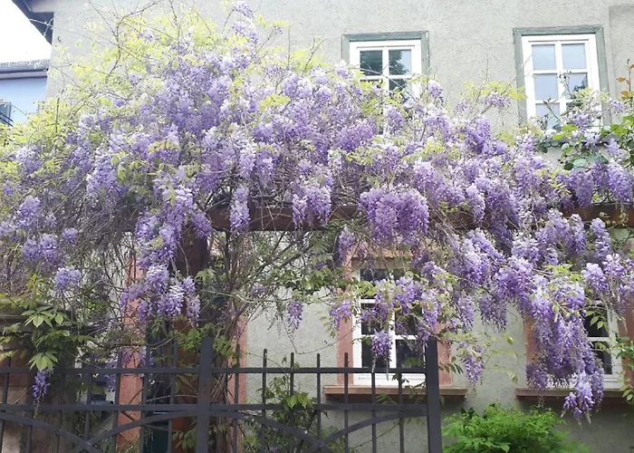 Annette Faust Appartement Miltenberg