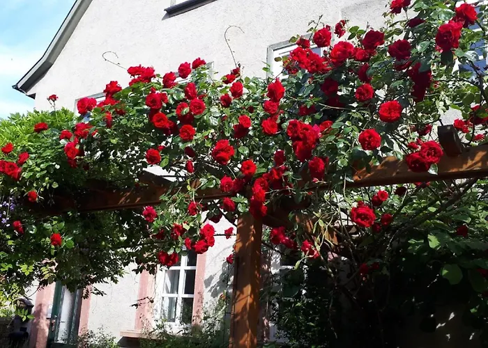 Annette Faust Miltenberg